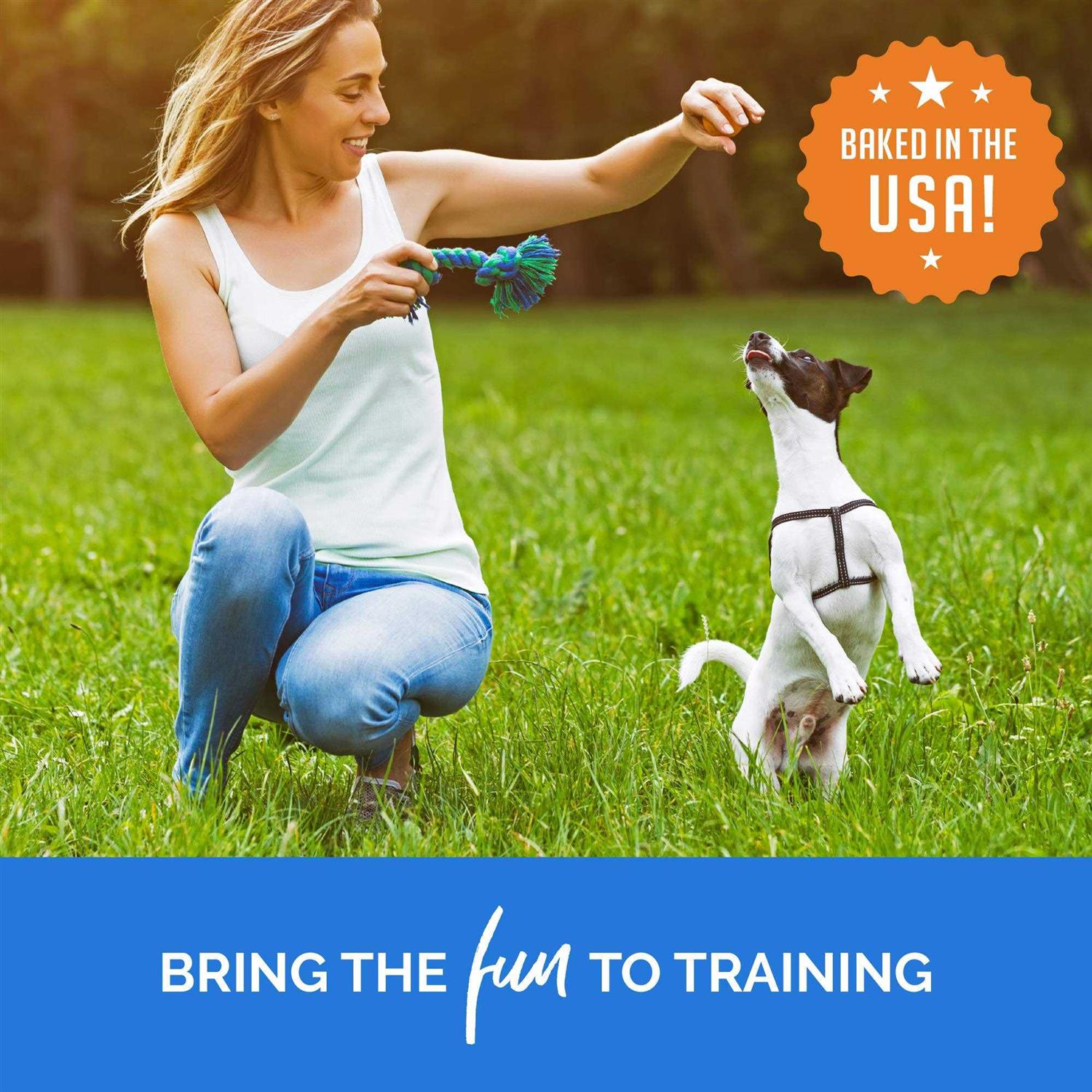 Buddy Biscuits Training Bites Dog Treats - Healthber