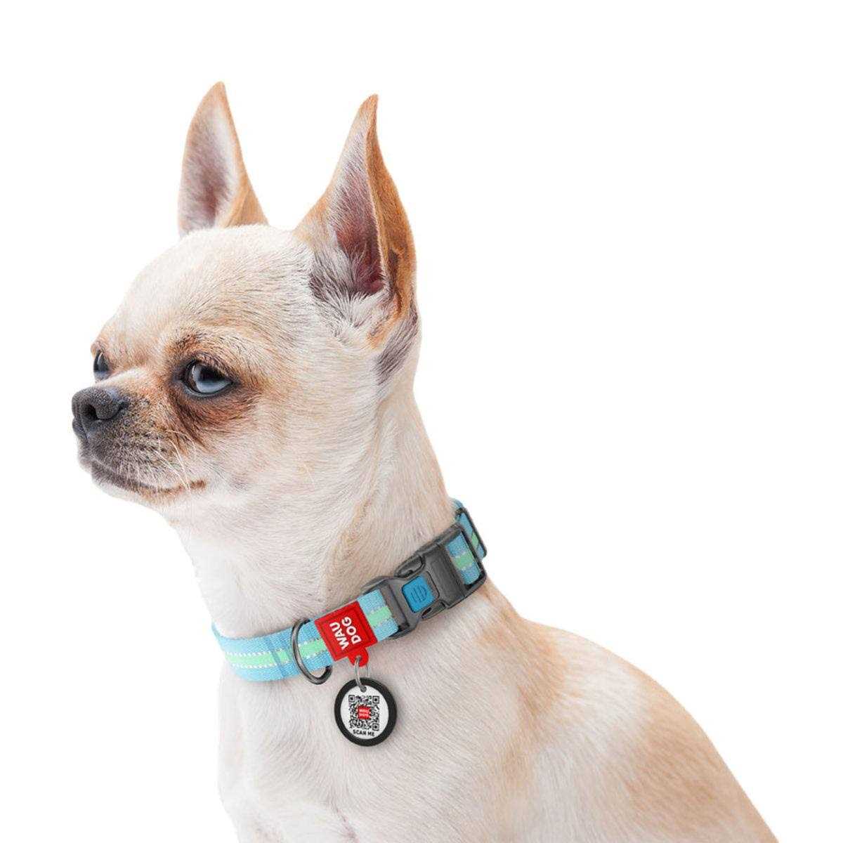 WAUDOG Glow in the Dark QR Passport Nylon Standard Dog Collar Blue - Healthber