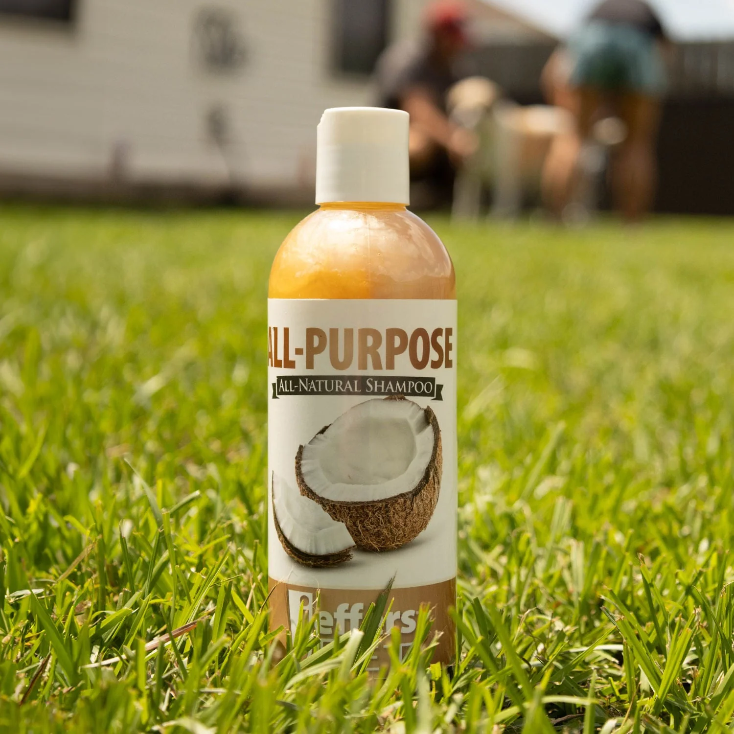 All-Purpose Coconut Oil Shampoo for Dogs and Cats - Healthber