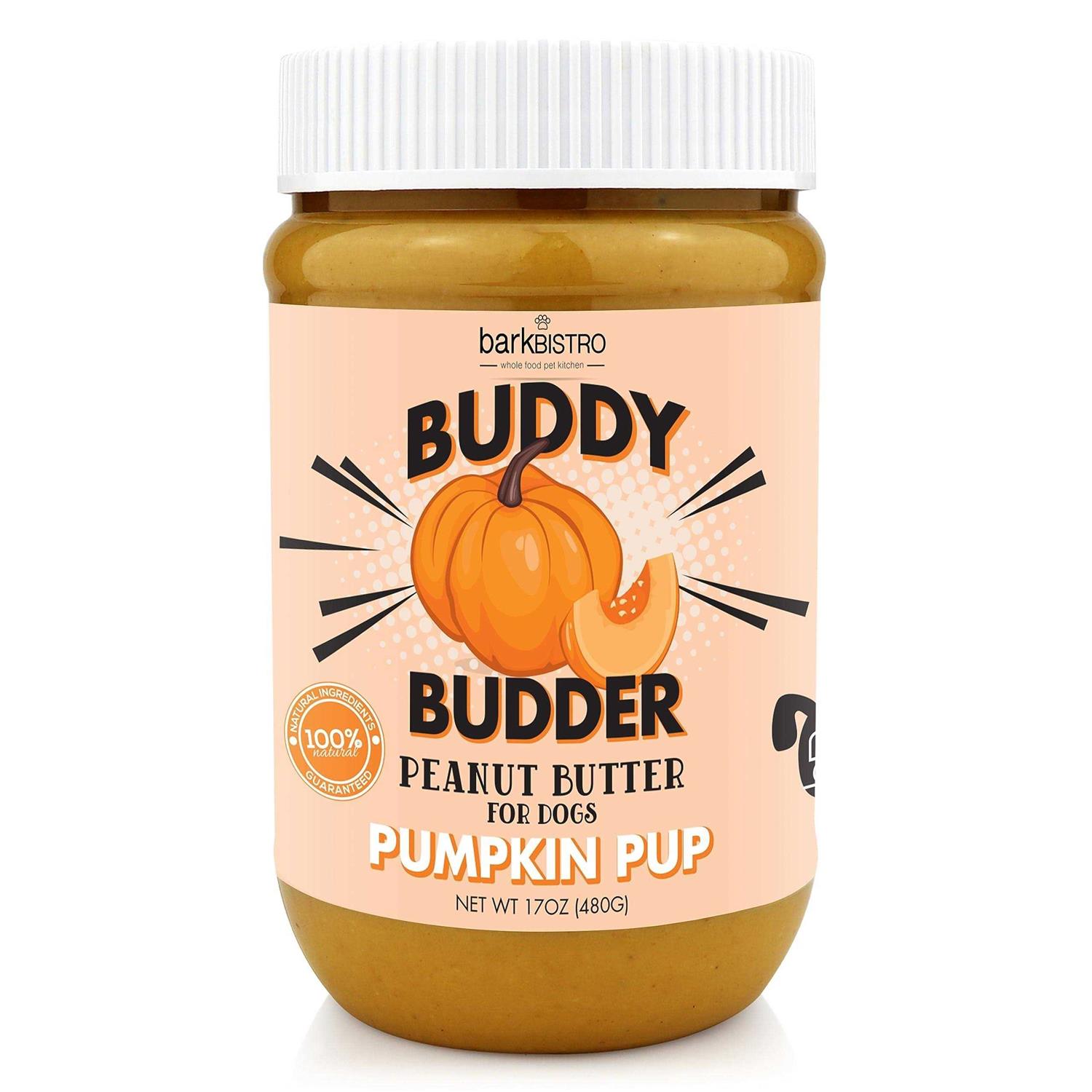 Bark Bistro Pumpkin Pup Buddy Budder - Healthber