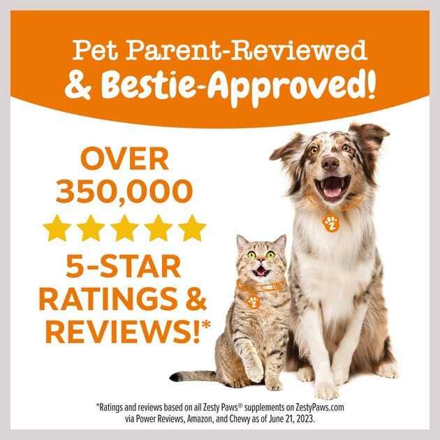 Zesty Paws All-in-One Training Treats for Dogs - Healthber