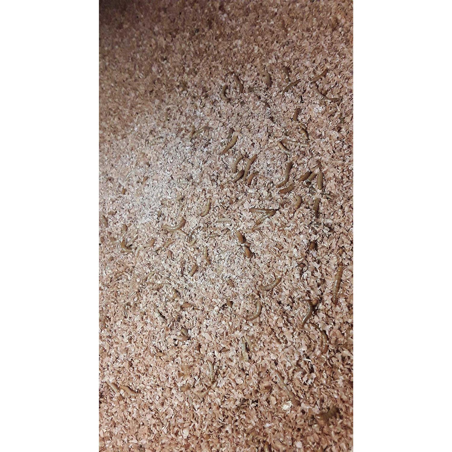 Josh’s Frogs Mealworm and Superworm Bedding - Healthber