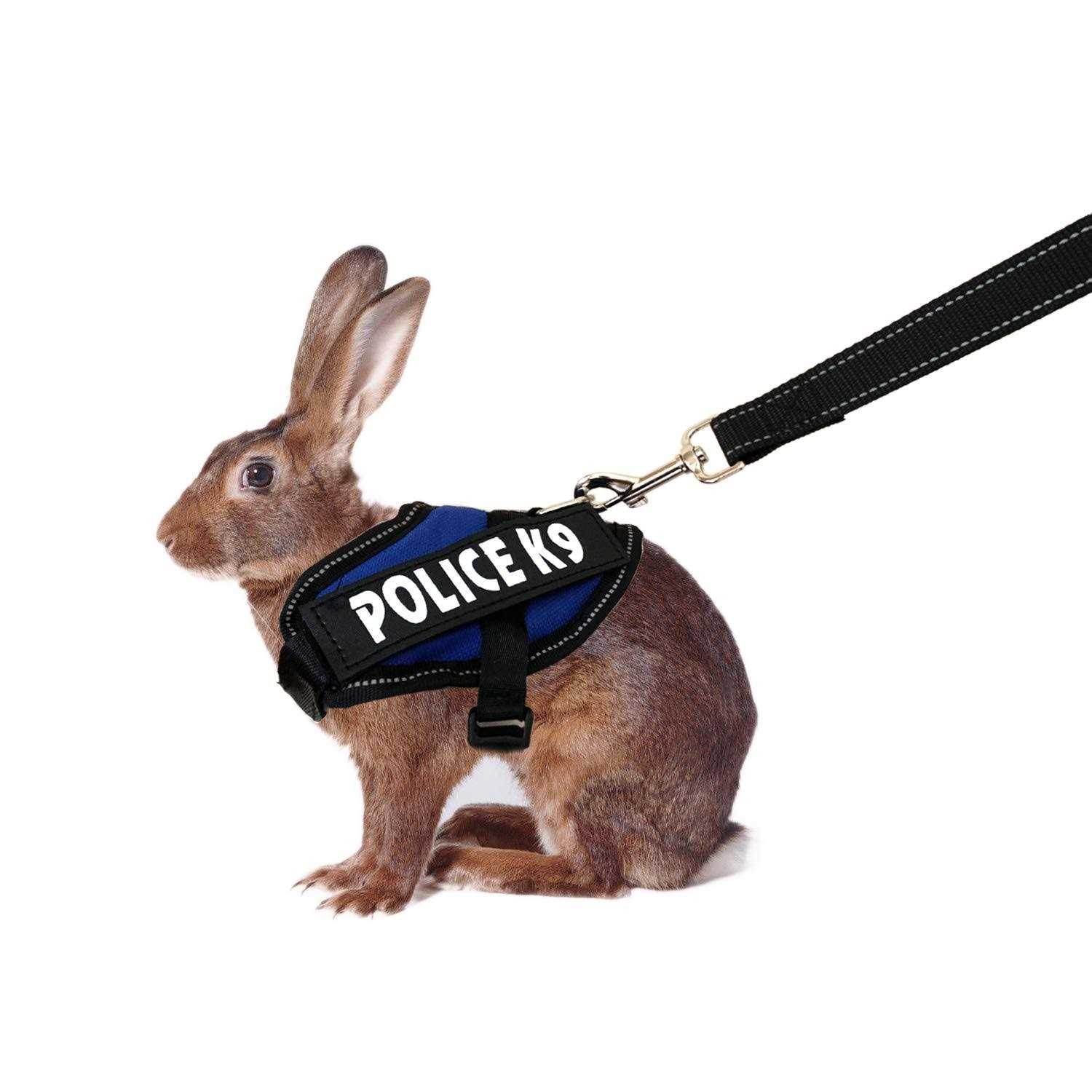 Vehomy Rabbit Harness with Leash for Bunny Rabbits Cats - Healthber