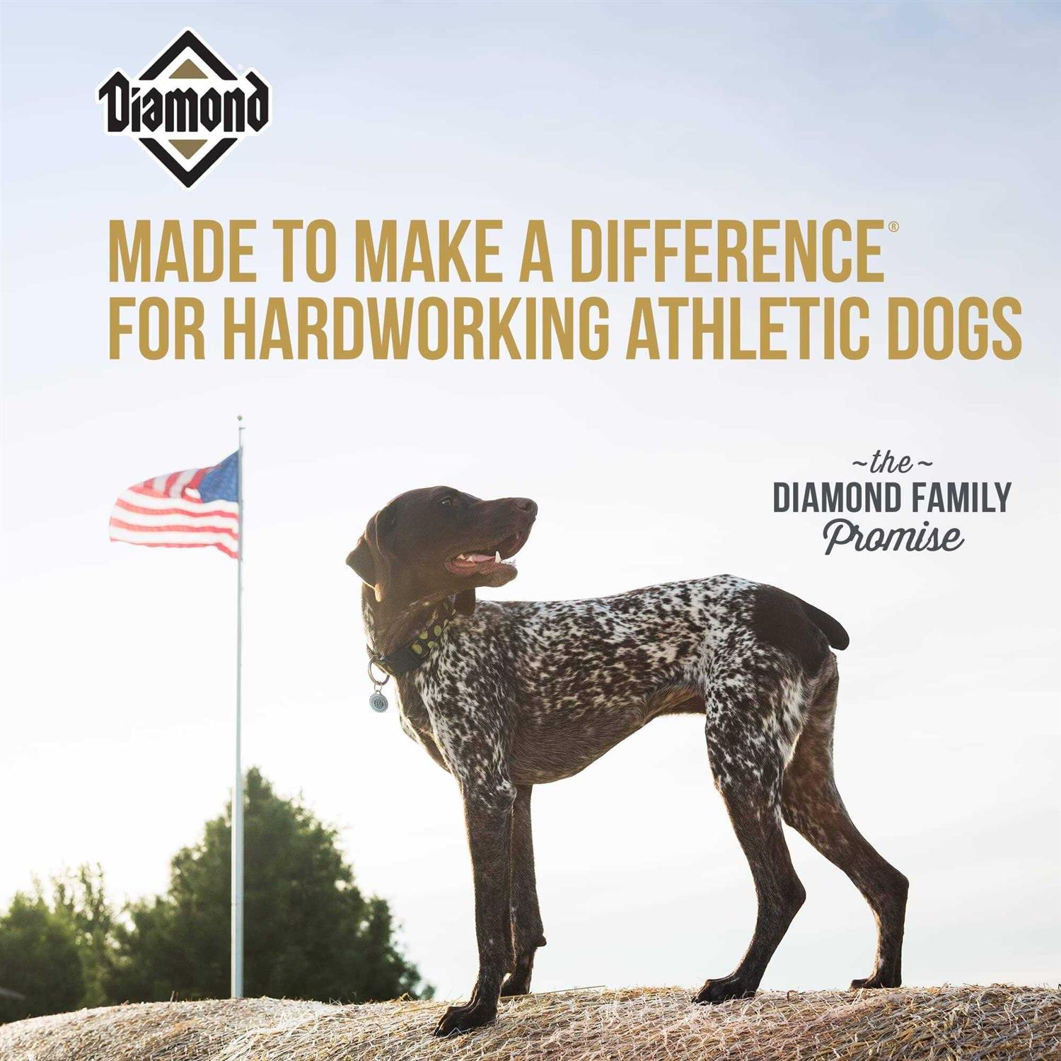 Diamond Performance Dry Dog Food - Healthber