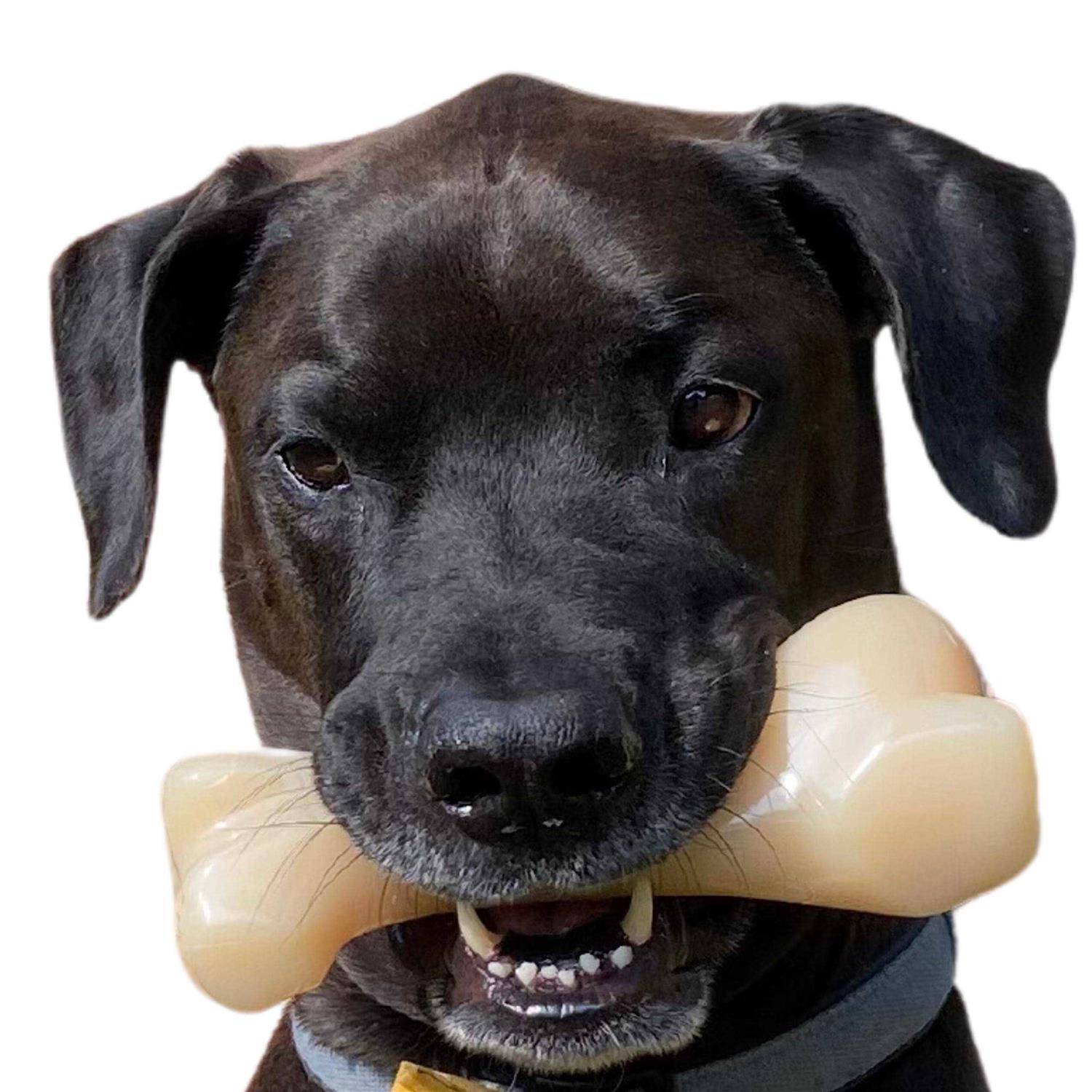 Nylabone Power Chew Big Chew Beef Bone - Healthber