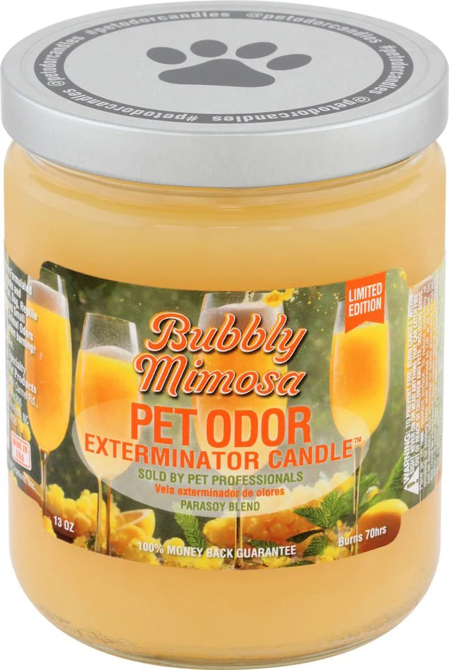 Pet Odor Exterminator Candle, Bubbly Mimosa, 13 oz - Healthber