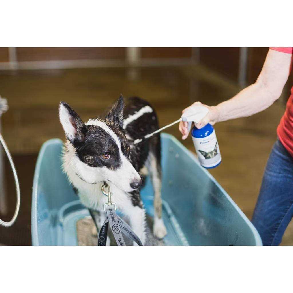 Vetericyn FoamCare Medicated Pet Shampoo - Healthber