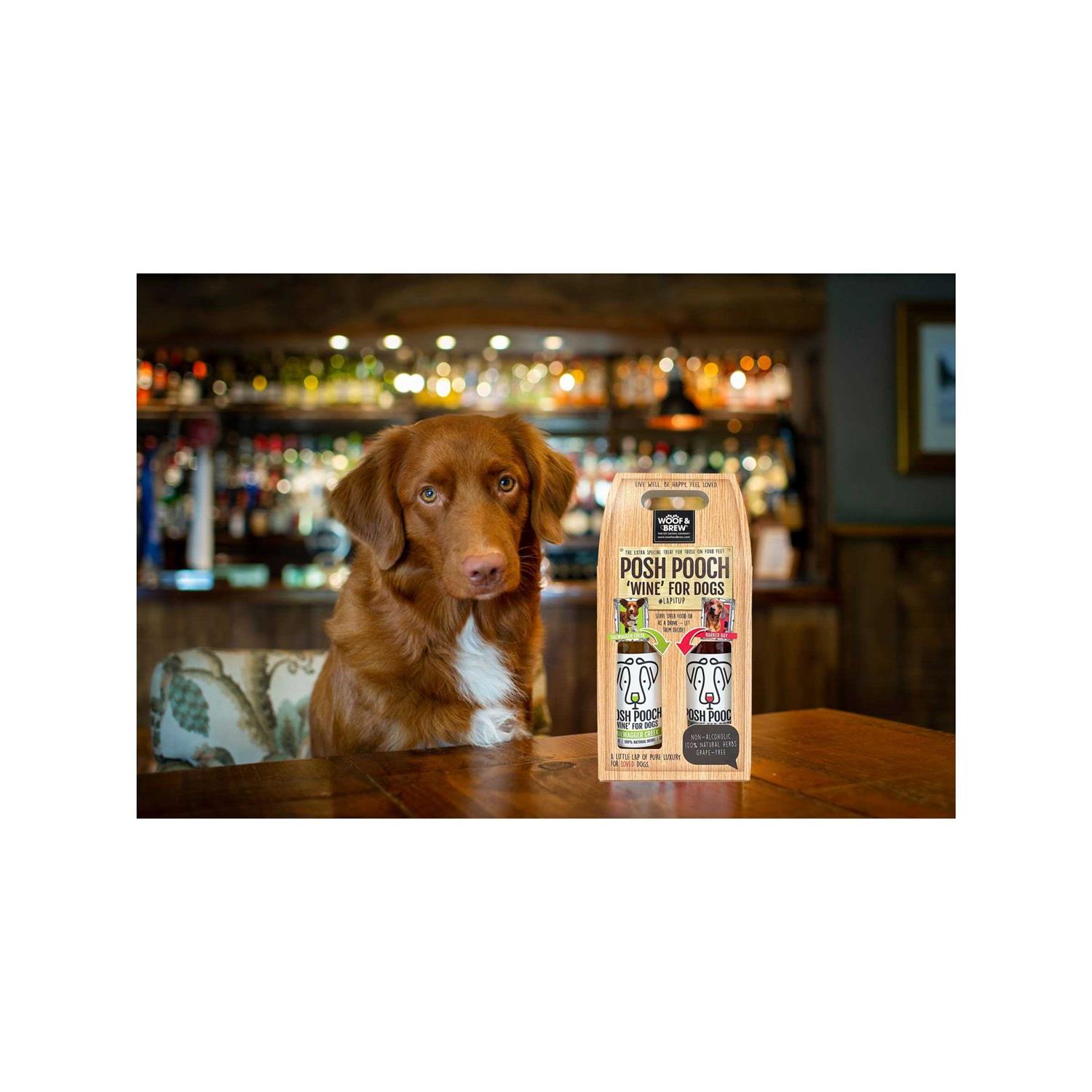 American Pet Supplies Posh Pooch Dog Wine Duo Pack - Healthber