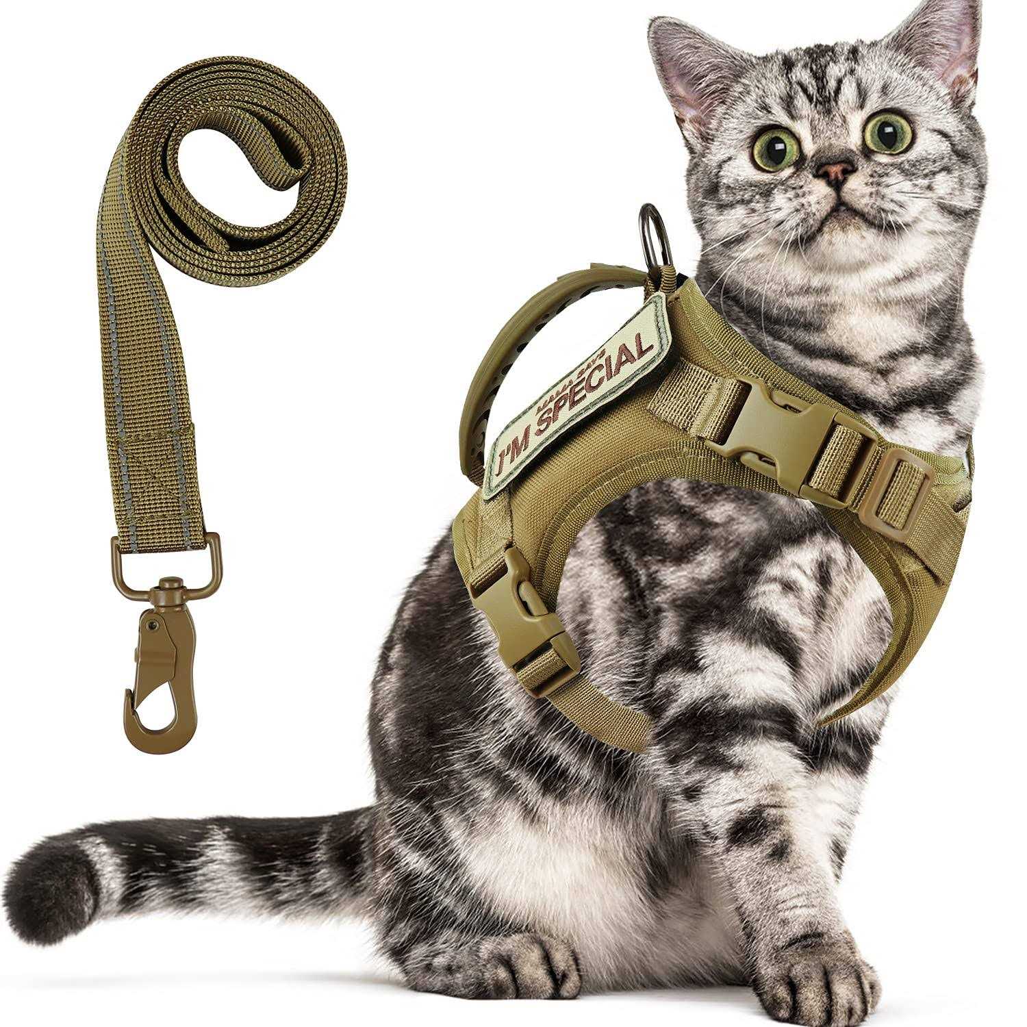 augopapa Tactical Cat Harness for Walking Escape Proof Soft Mesh Adjustable Pet Vest Harness - Healthber