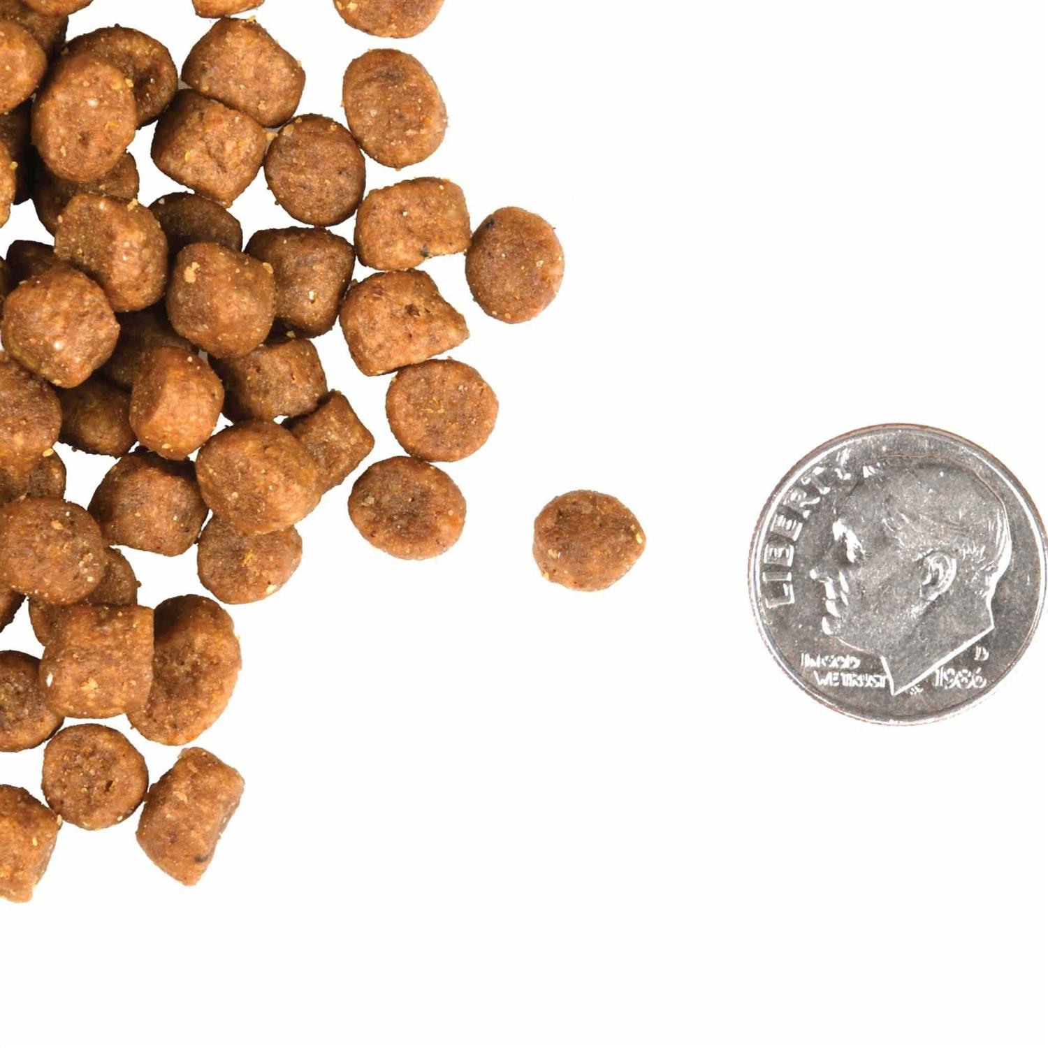 Fromm Gold Cat Food - Healthber