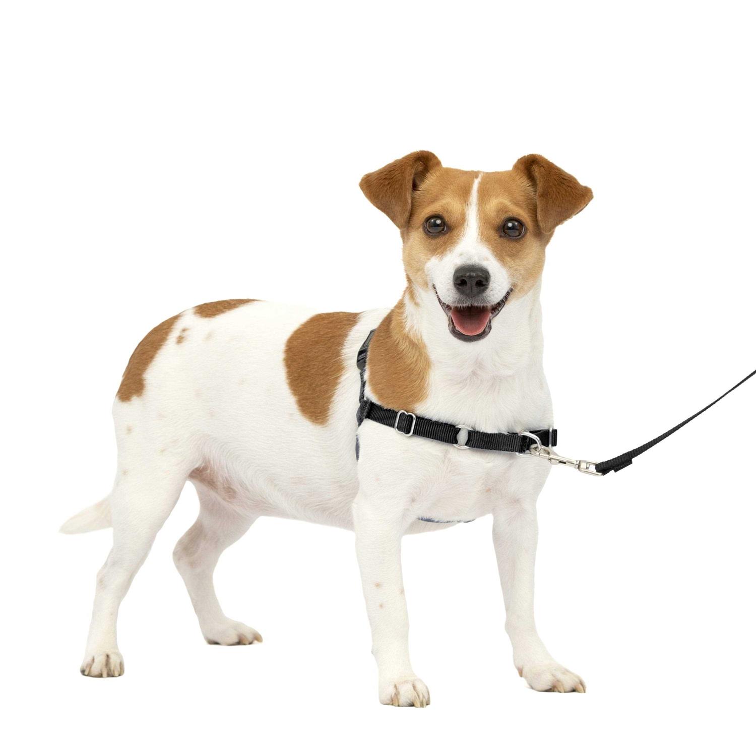 PetSafe Easy Walk Dog Harness - Healthber