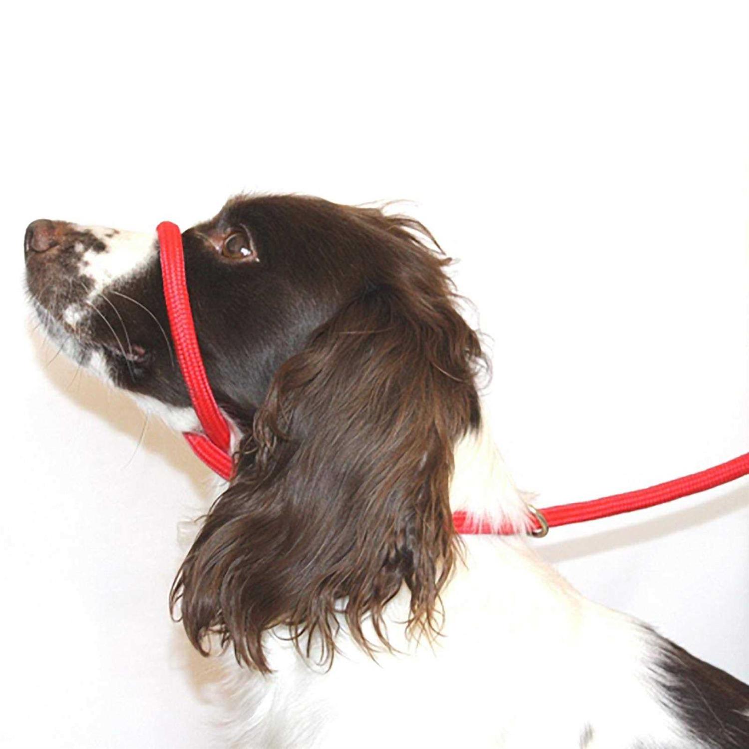 Dog & Field Figure 8 Anti Pull LeashHalterHead collar One Size Fits All - Healthber