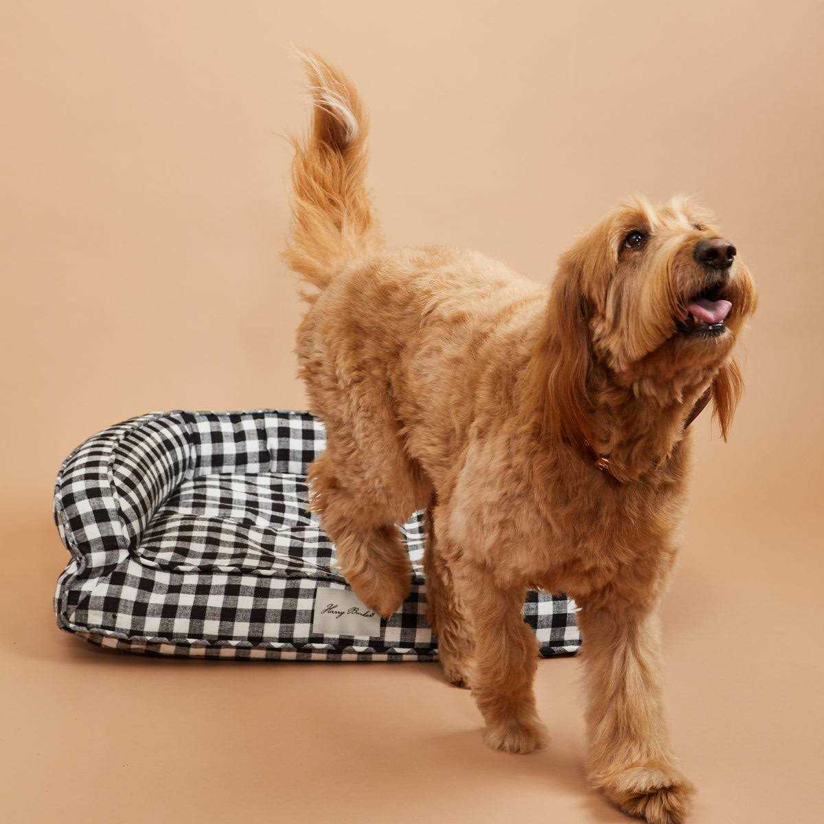 Harry Barker Buffalo Check Lounger - Healthber