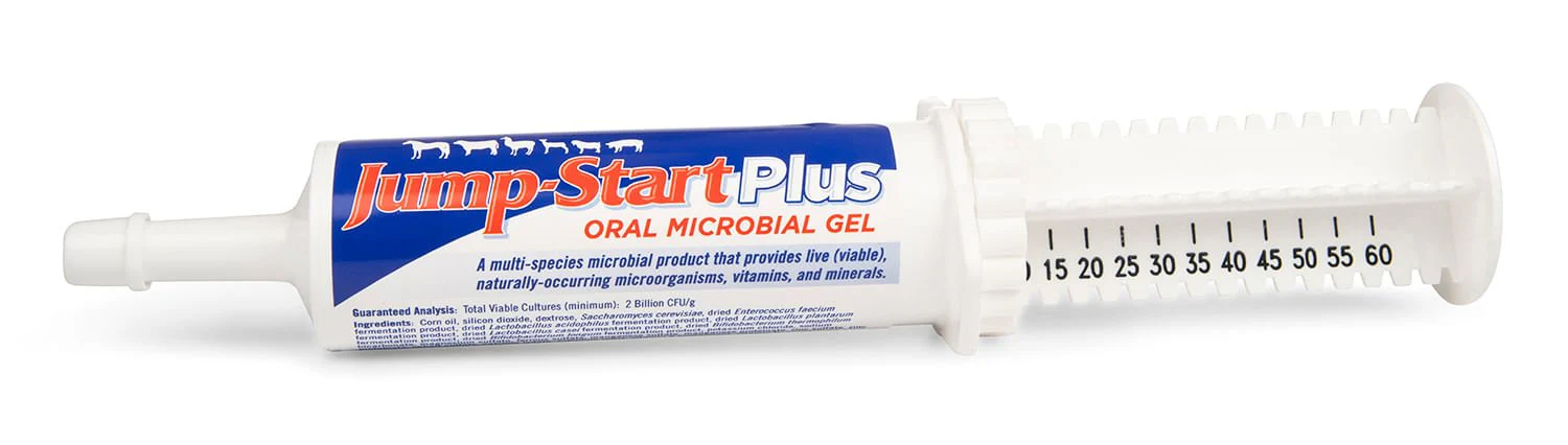 Jump Start Plus, 60 g - Healthber