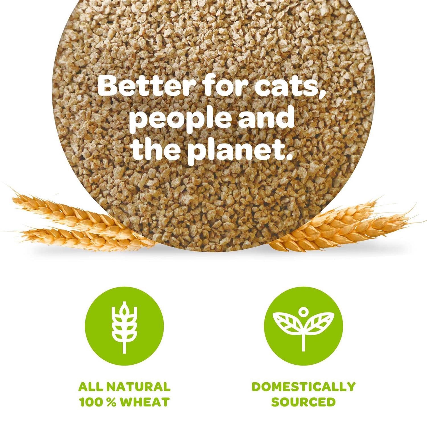 sWheat Scoop Cat Litter - Healthber