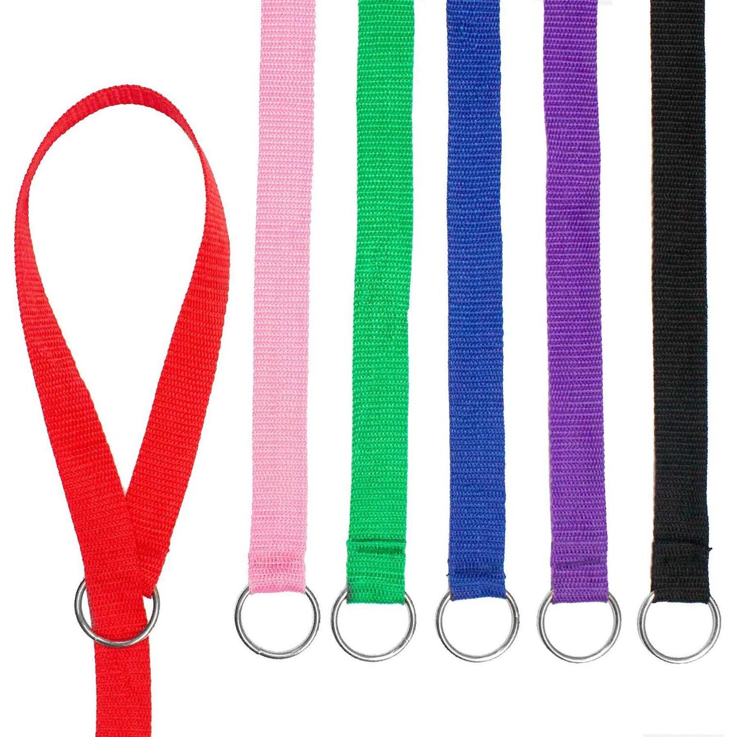 Downtown Pet Supply Dog Slip Lead Dog Leash - Healthber
