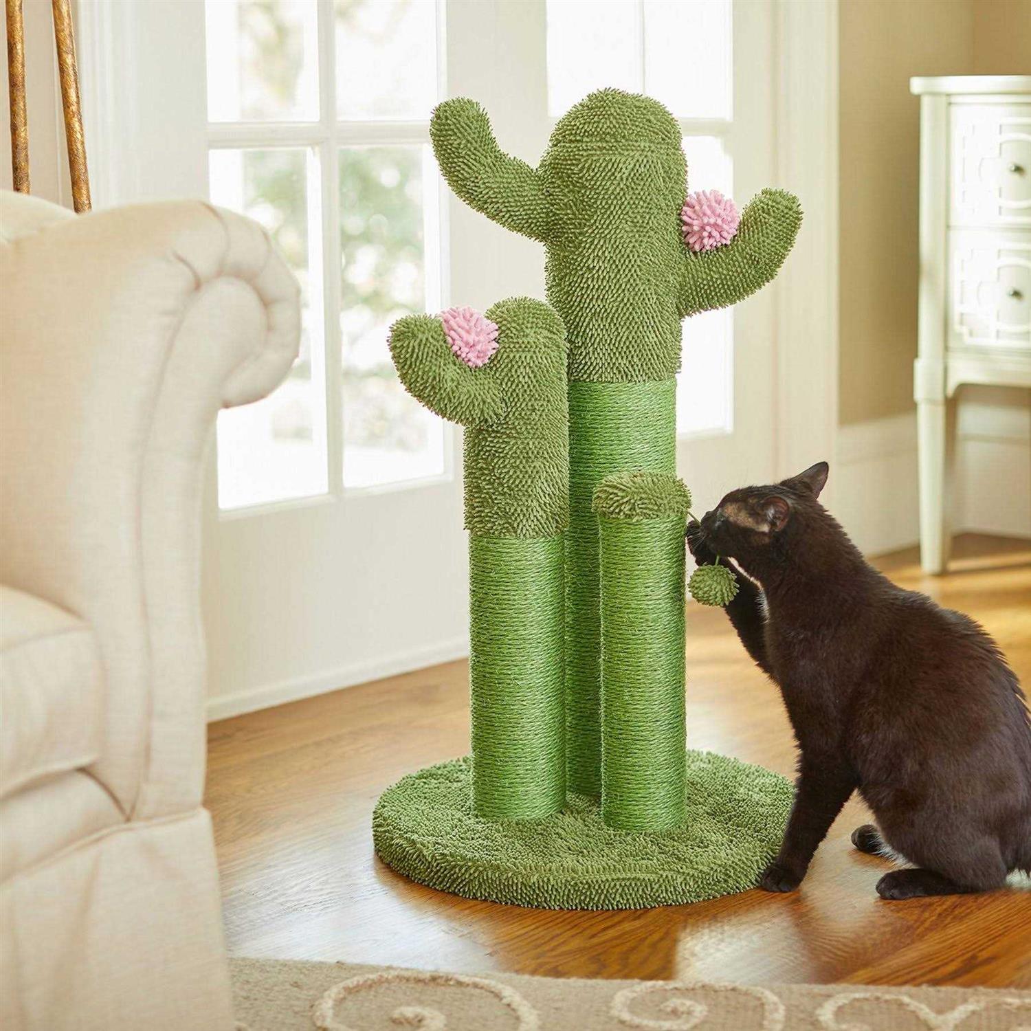 Frisco Cactus Cat Scratching Post - Healthber