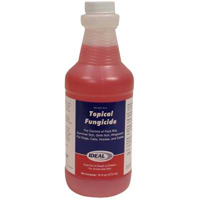 Ideal Animal Health Livestock Topical Fungicide, 1.25 lb. - Healthber