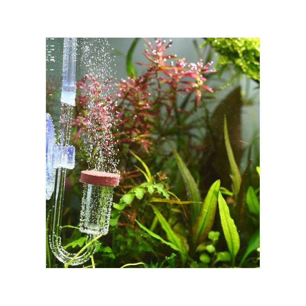 Aquario Neo CO2 - Healthber