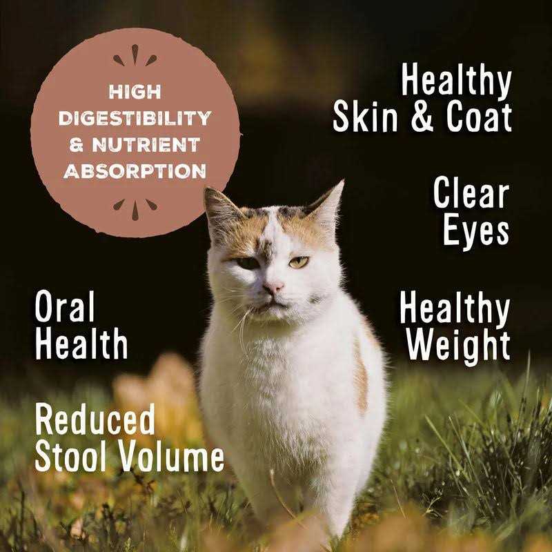 Primal Freeze-Dried Feline Nuggets - Healthber