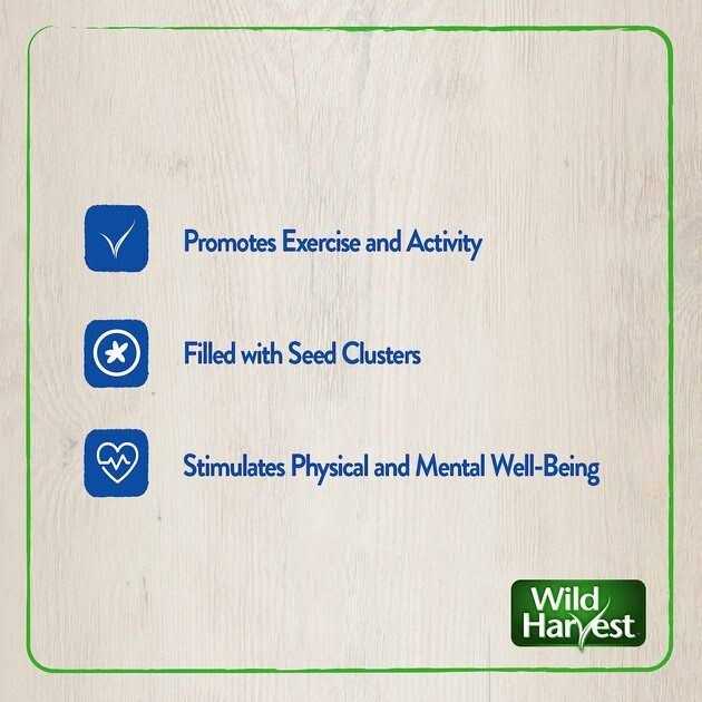 Wild Harvest Foraging Instincts Peck n Play Interactive Treat - Healthber