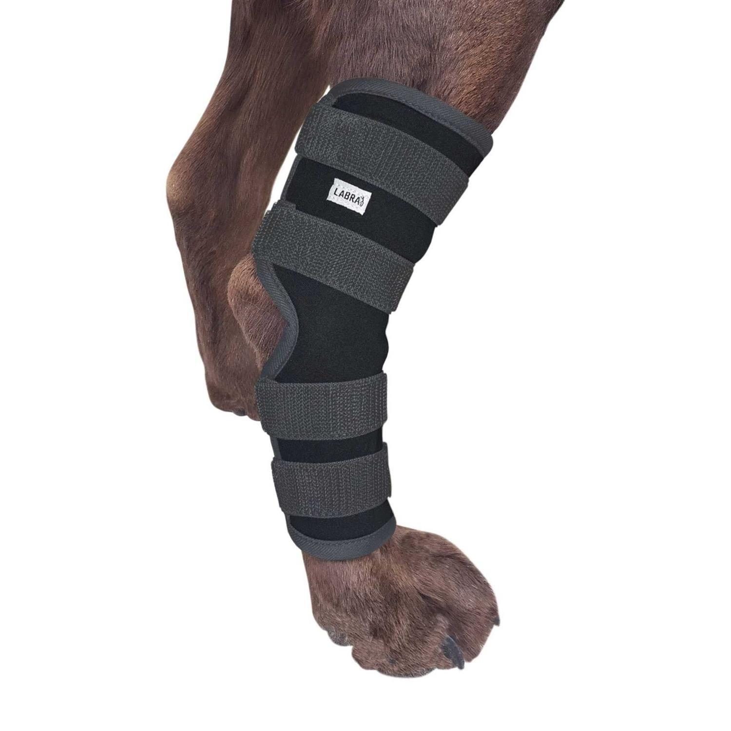 Labra Dog Extra Supportive Canine Rear Leg Hock Joint Compression Wrap and and - Healthber