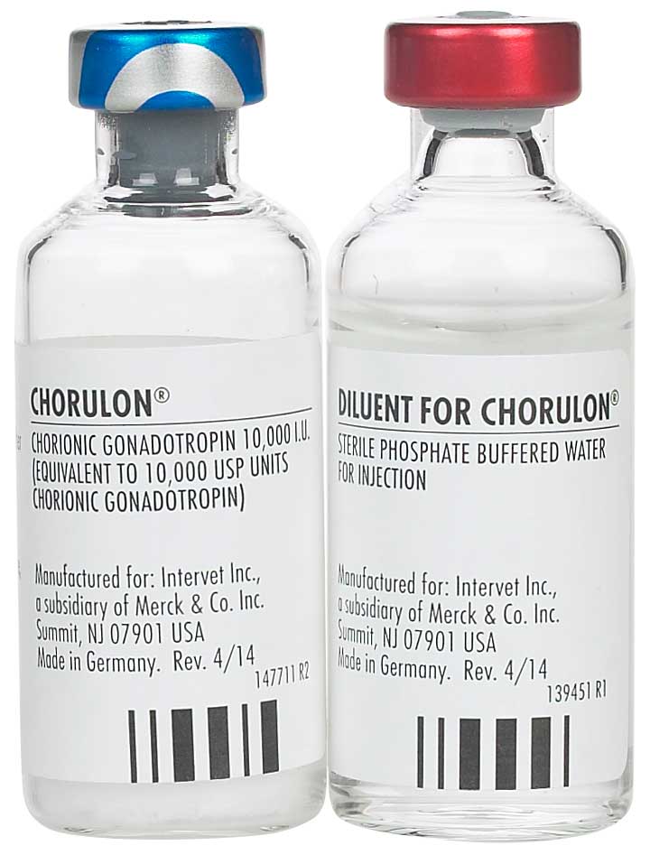 Rx Chorulon HCG for Cattle - Healthber