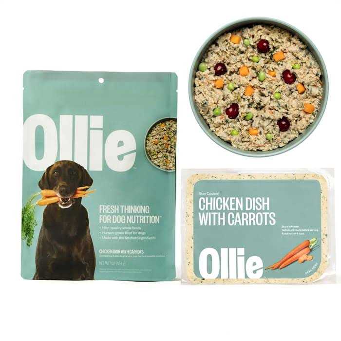 Ollie Chicken Dish with Carrots Fresh Frozen Dog Food - Healthber