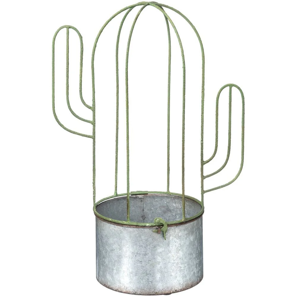 Cactus Planter - Healthber