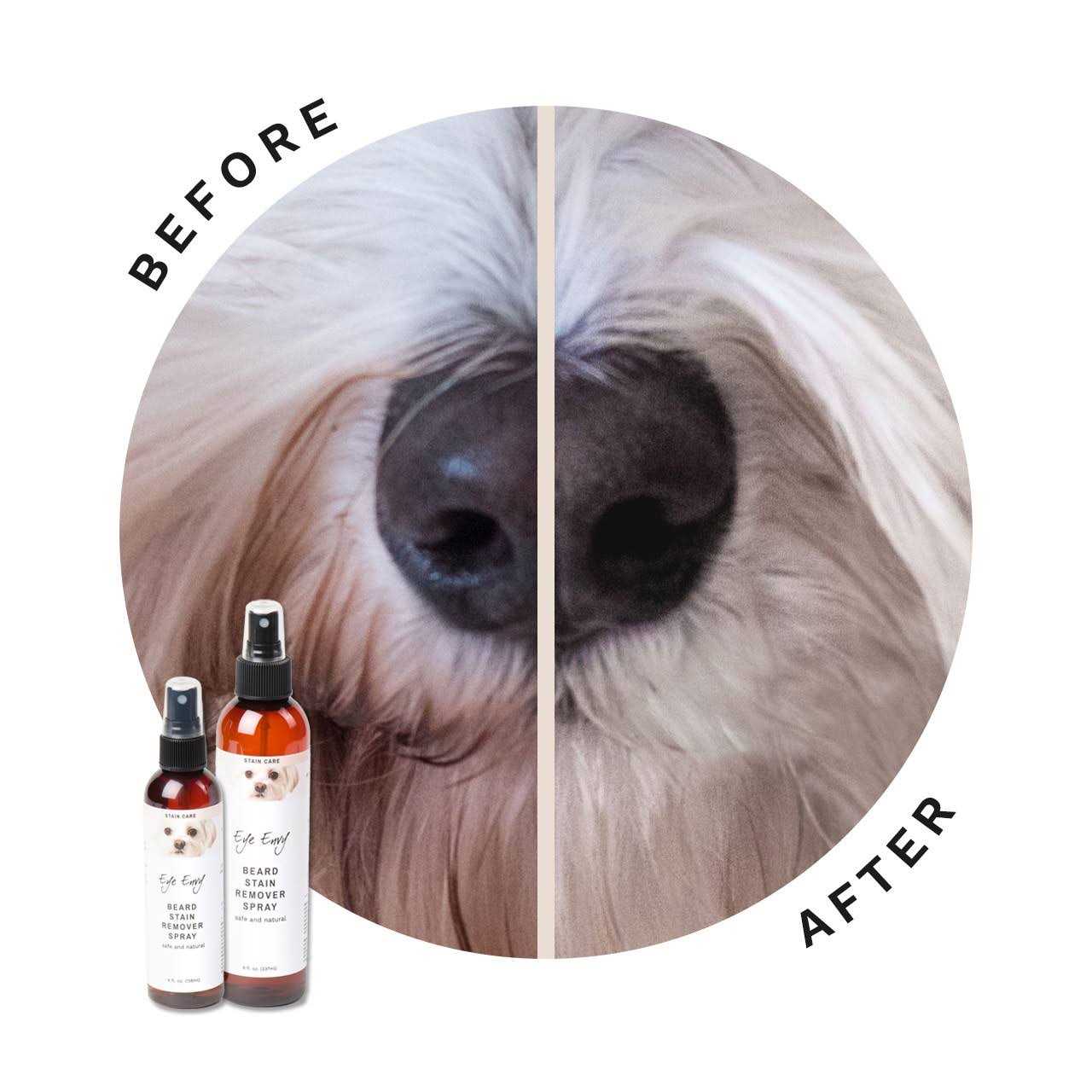 Eye Envy All Natural Off The Beard Stain Remover for Dogs & Cats - Healthber