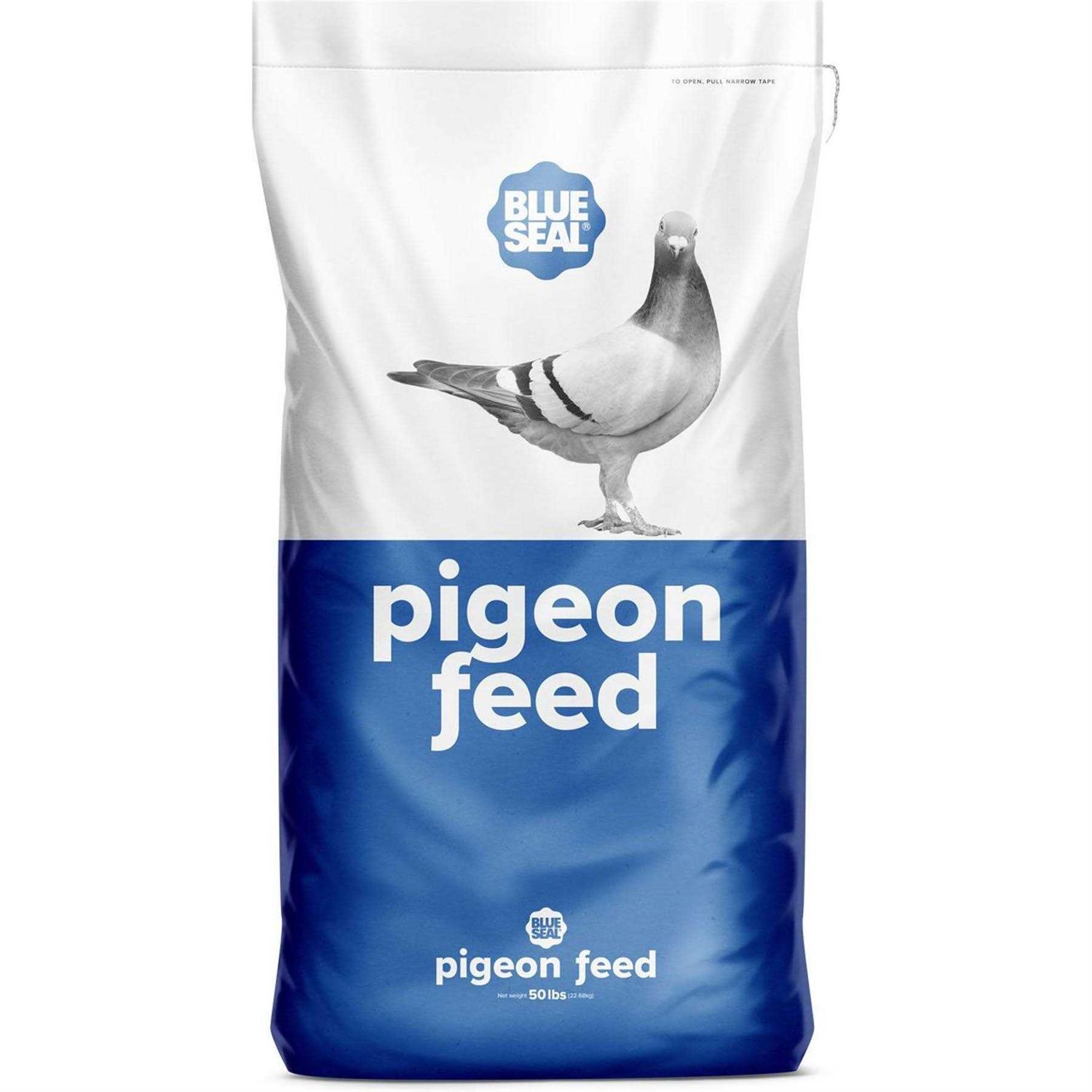 Blue Seal Pigeon Feed - Healthber