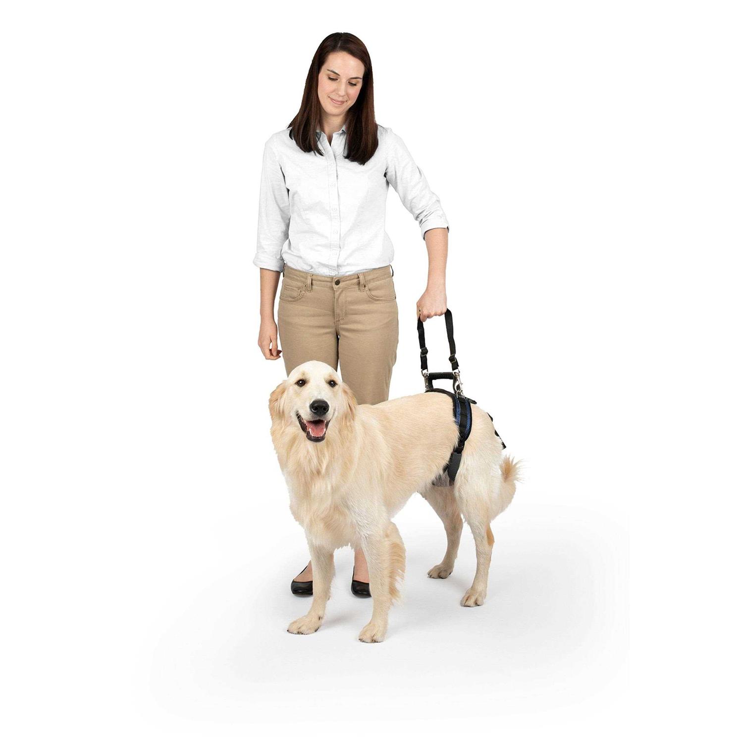 PetSafe CareLift Dog Rear Harness - Healthber