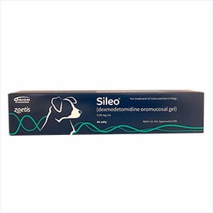 Rx Sileo (dexmedetomidine) Oromucosal Gel for Dogs - Healthber