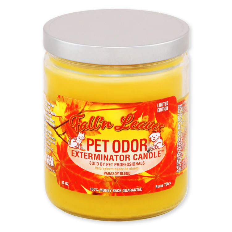 Pet Odor Exterminator Candle, Fall N Leaves, 13 oz - Healthber
