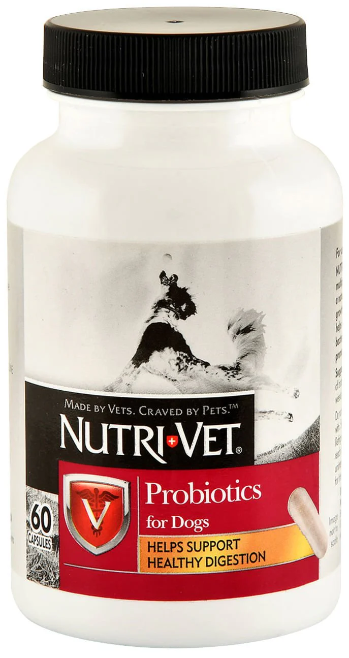 Nutri-Vet Probiotics for Dogs - Healthber