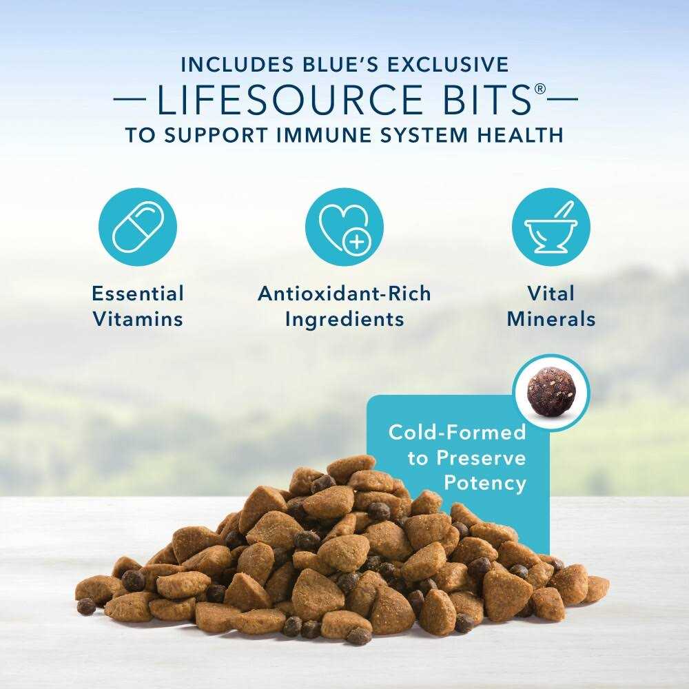 Blue Buffalo Life Protection Formula Natural Chicken and Brown Rice Puppy Large Breed Dry Dog Food - Healthber