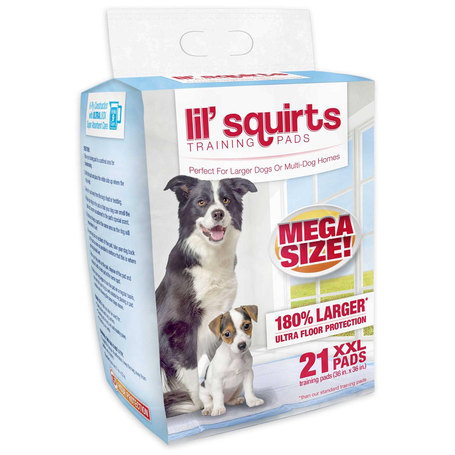Ruffin’ It Lil’ Squirts Training Pads - Healthber
