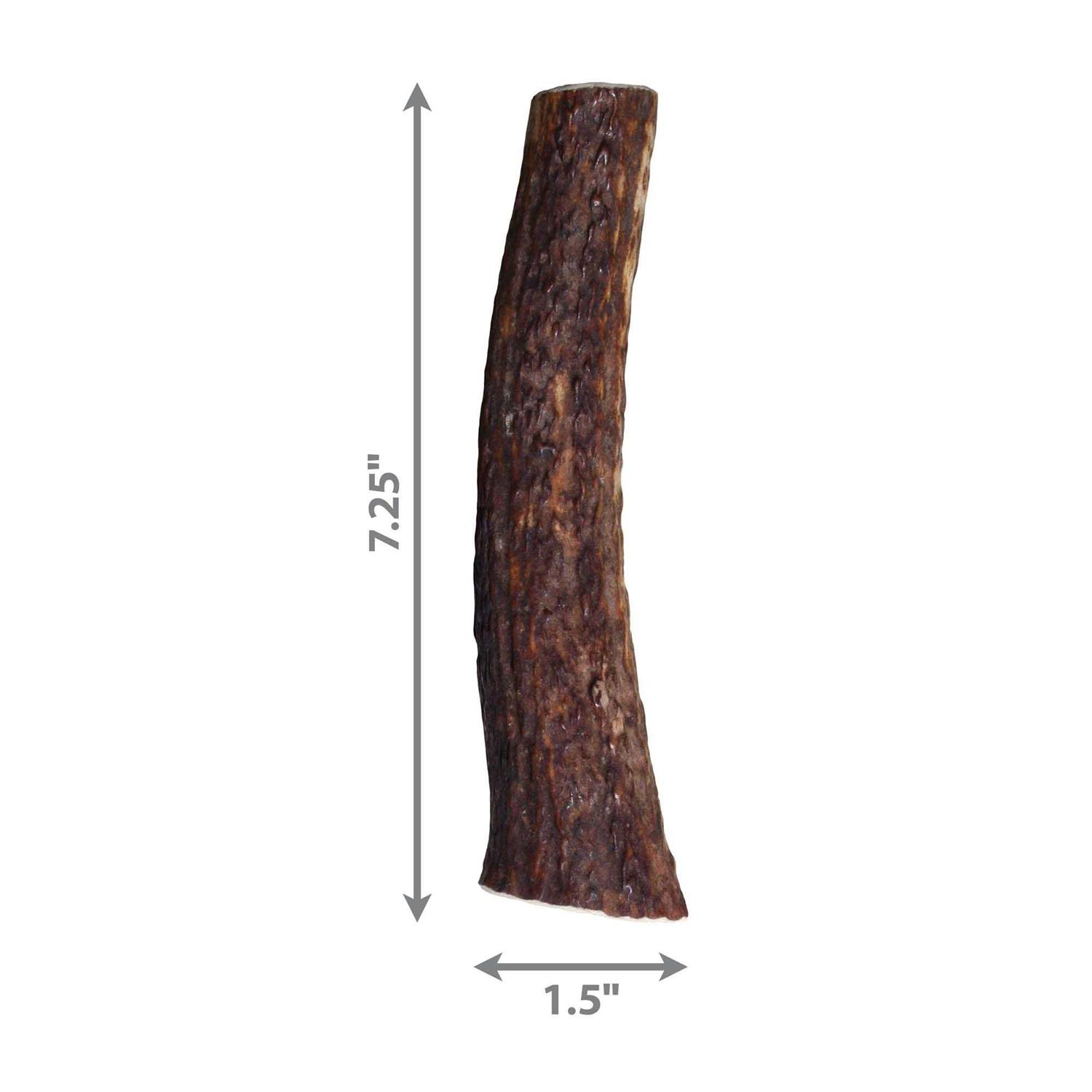 Kong Whole Wild Elk Antler - Healthber