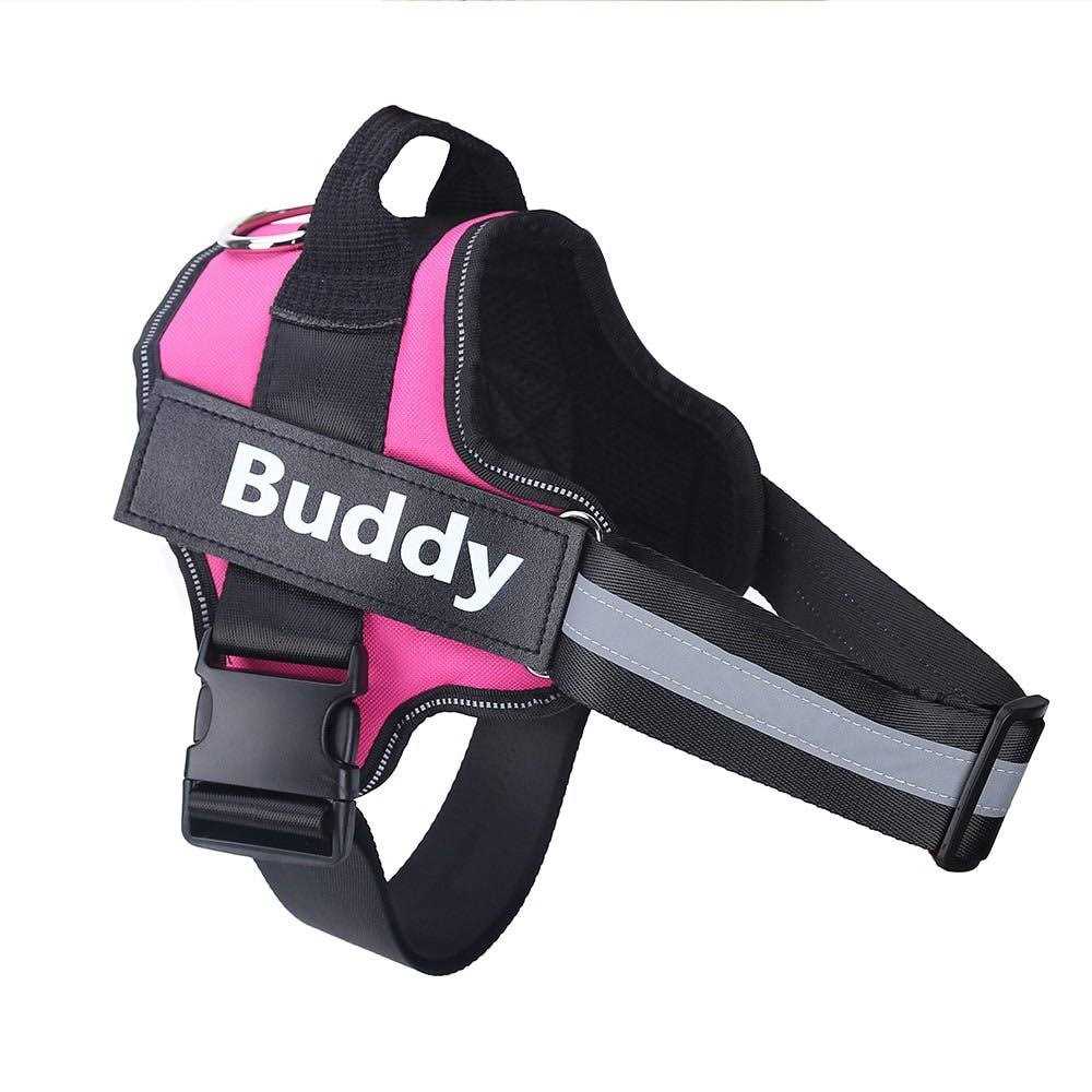 PawPawify Lifetime Warranty Personalized Easy-On No Pull Dog Harness - Healthber