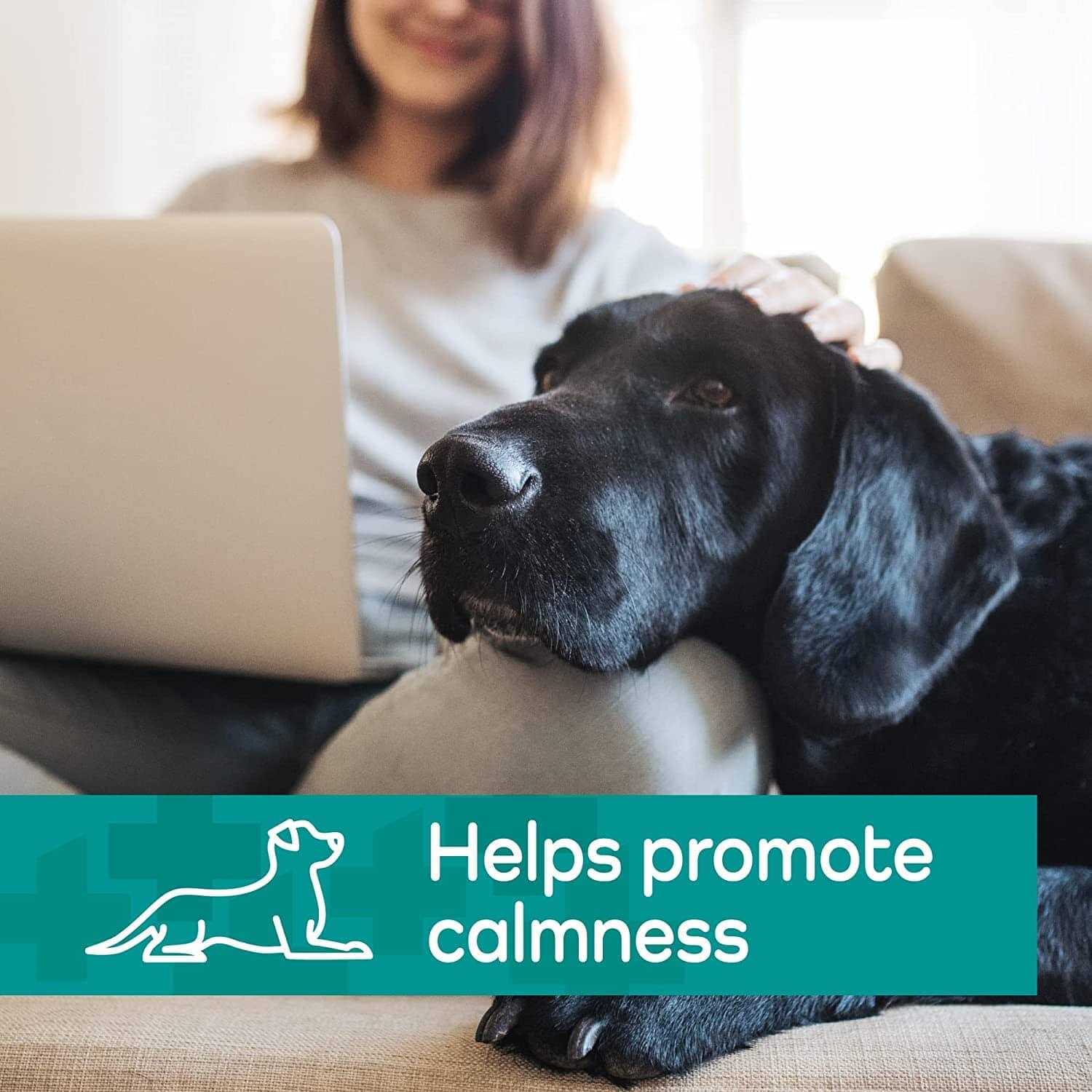 Vetality Hemp Helpers Collar for Dogs - Healthber