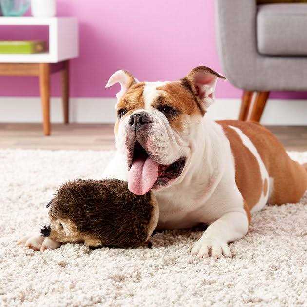 Booda Dog Toy Hedgehog - Healthber