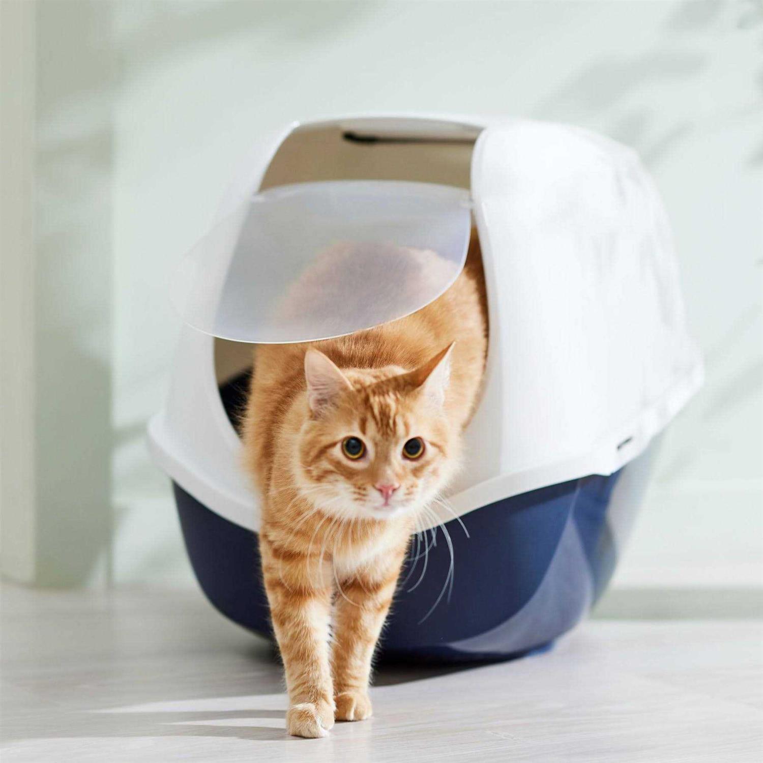Frisco Hooded Cat Litter Box - Healthber