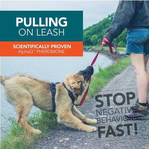 TevraPet No! No! Dogs Correction Spray - Healthber
