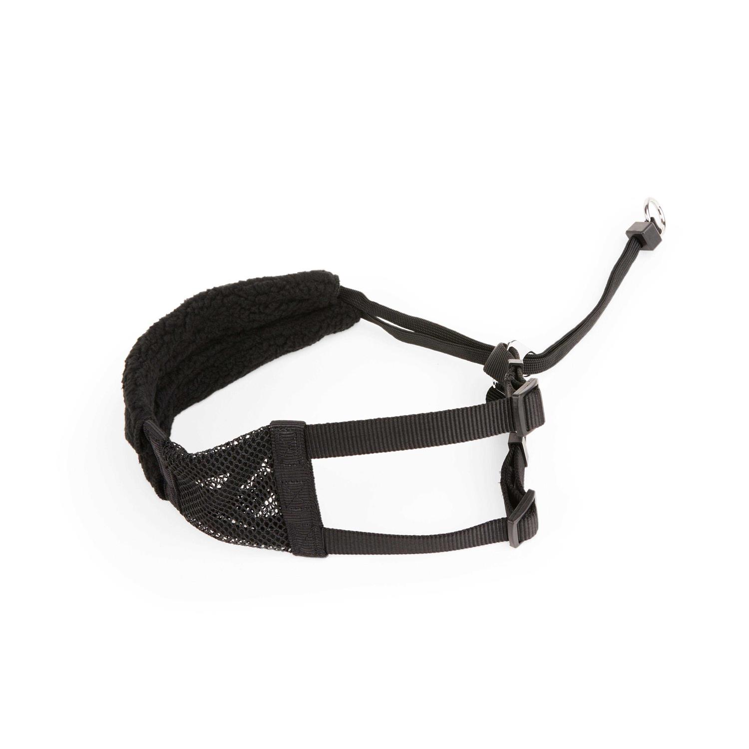 EveryYay Embrace The Pace Black No Pull Dog Harness - Healthber