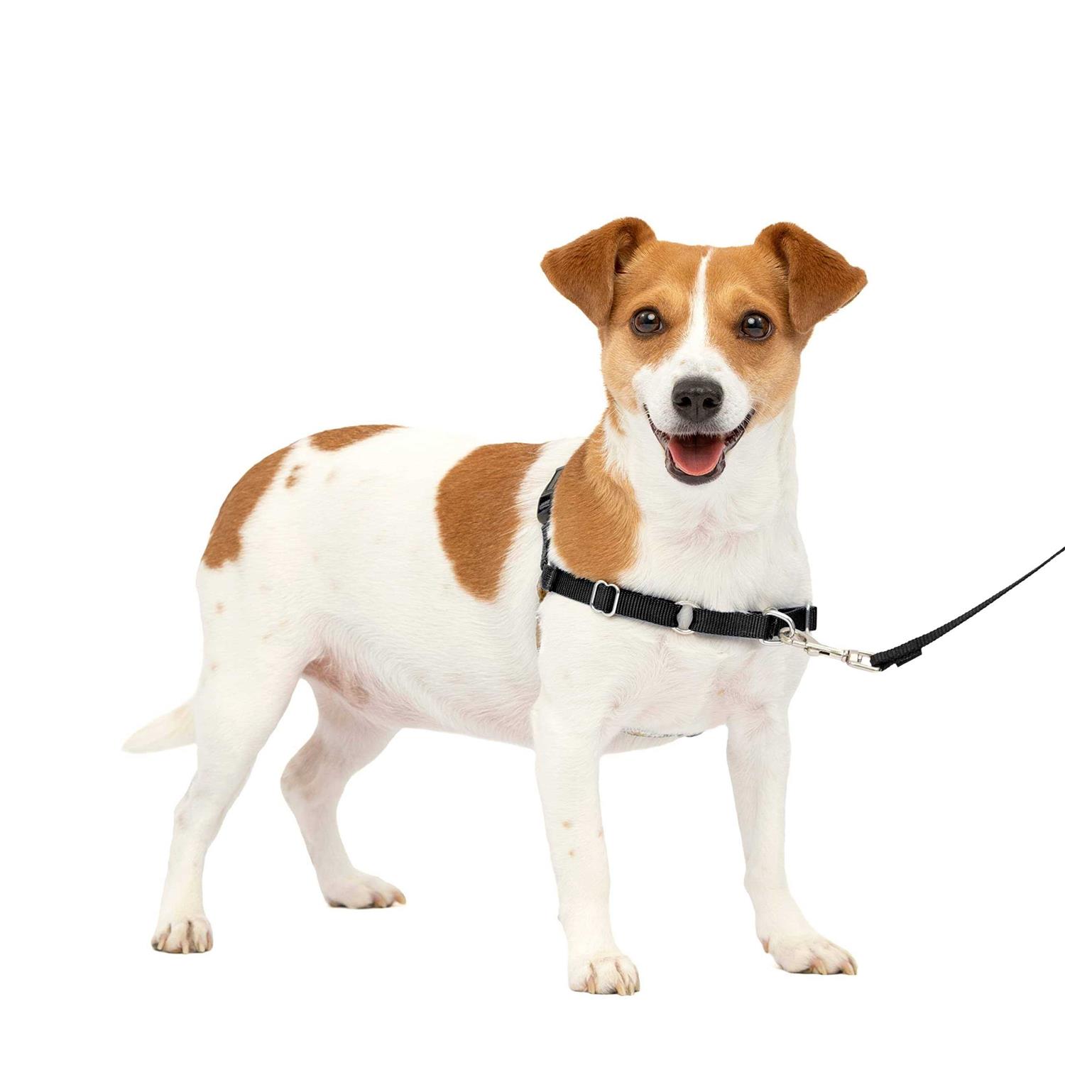 PetSafe Easy Walk Dog Harness - Healthber