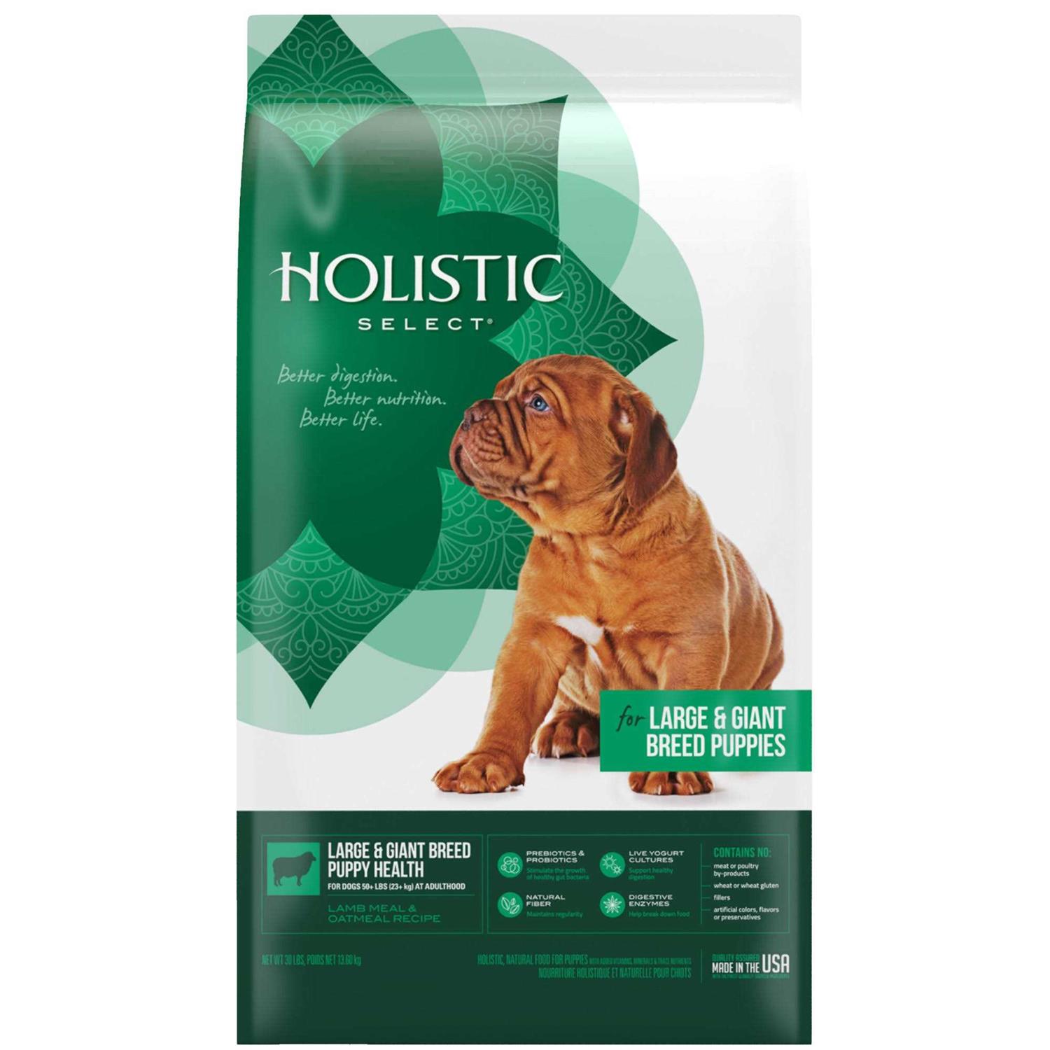 Holistic Select Large Giant Breed Puppy Health Lamb Meal Oatmeal Dry Dog Food - Healthber