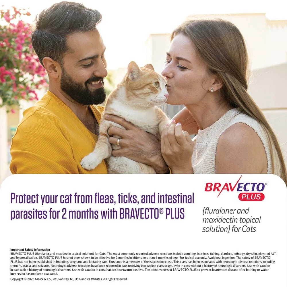 Rx BRAVECTO Plus Topical, Cat - Healthber