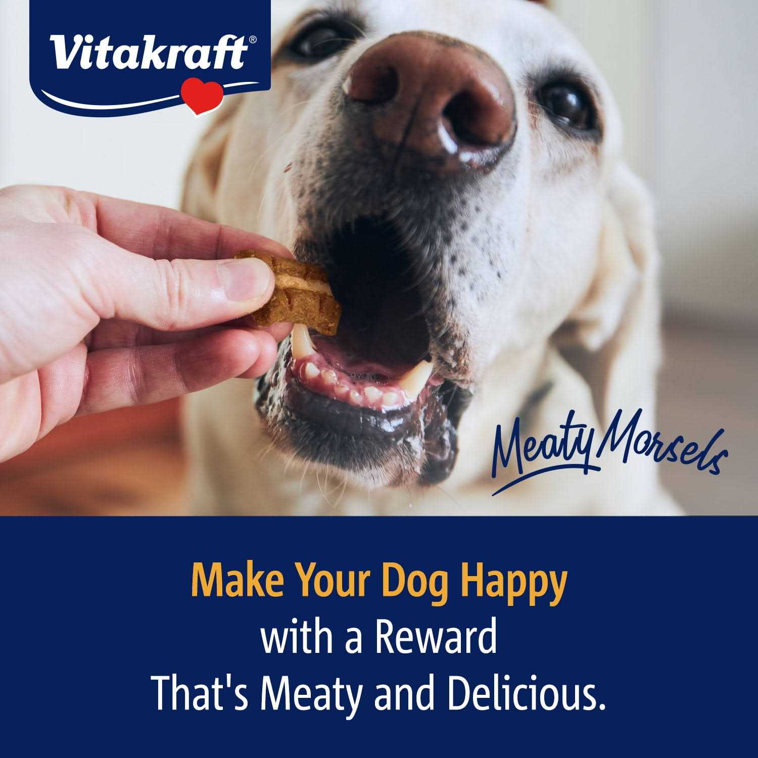 Vitakraft Meaty Morsels Chicken Recipe with Beef & Carrots Dog Treat Mini - Healthber