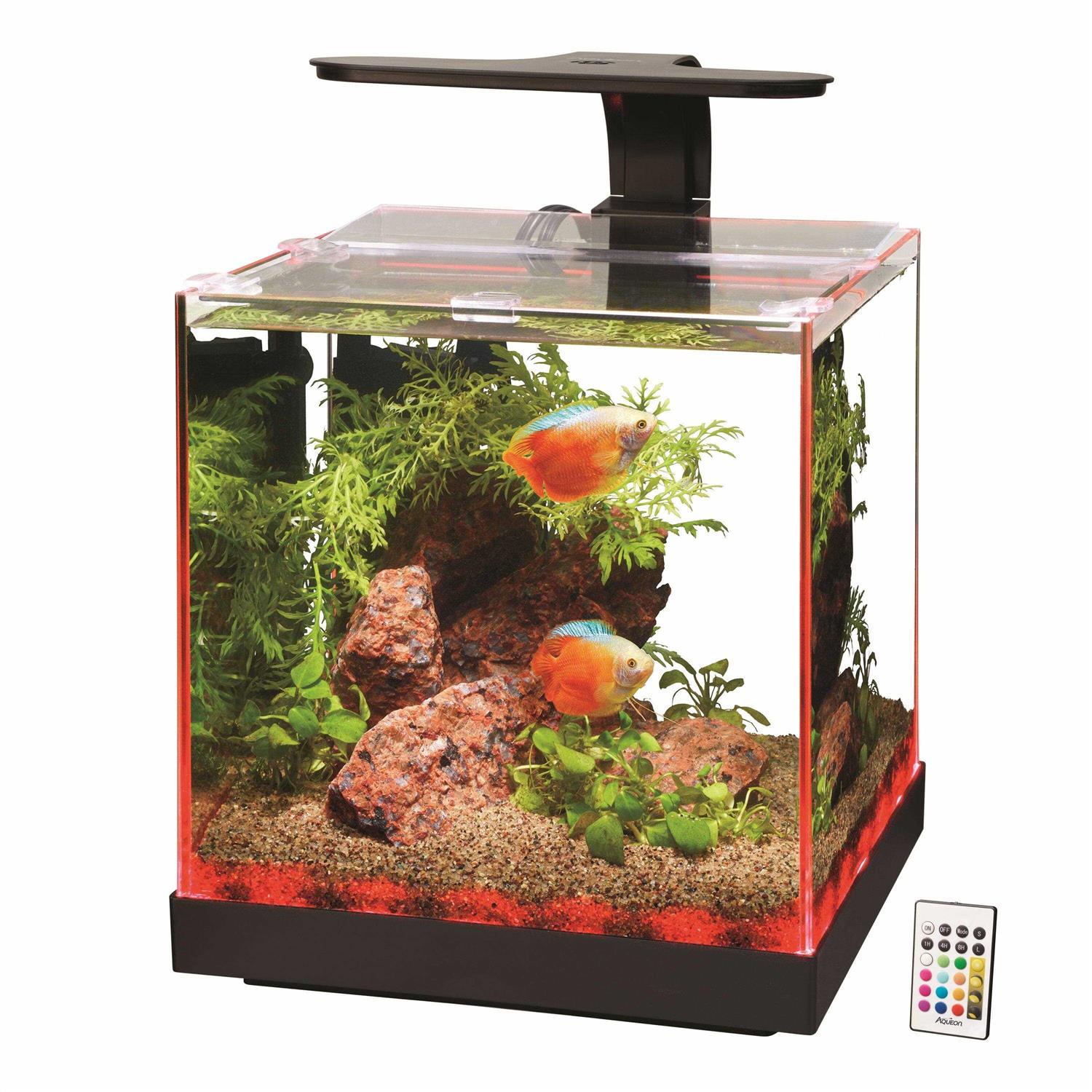 Aqueon Edgelit Cube Aquarium - Healthber