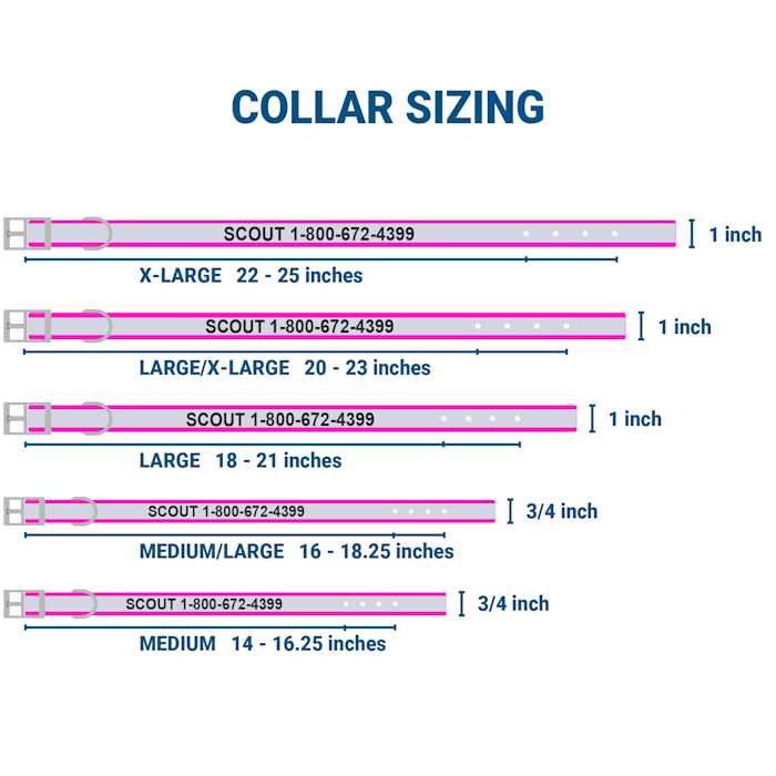 GoTags Adjustable Nameplate Personalized Dog Collar - Healthber